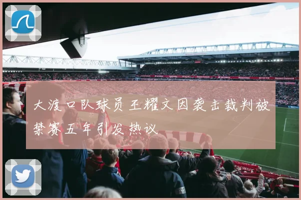 大渡口队球员王耀文因袭击裁判被禁赛五年引发热议