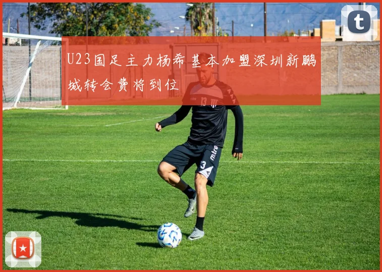 U23国足主力杨希基本加盟深圳新鹏城转会费将到位